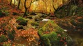 Autumn Stream Fallen Leaves Landscape Painting from Photos to Art